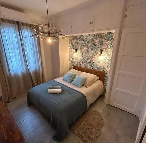 Appartement 2 Pièces Au Centre D'antibes. Antibes